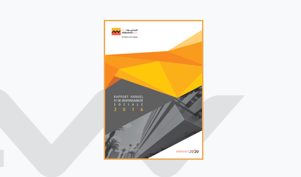 rapport_annuel_2016