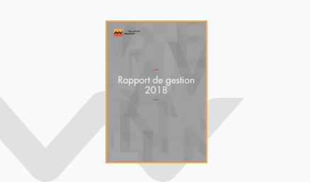 rapport_de_gestion_2018
