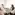 grande_entreprise_pme_beneficiez_doffres_dediees_et_de_services_daccompagnements